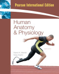 Human Anatomy & Physiology - 8 Edition
