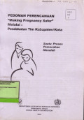 Rencana Strategis Nasional Making Pregnancy Saver Di Indonesia 2001-2010